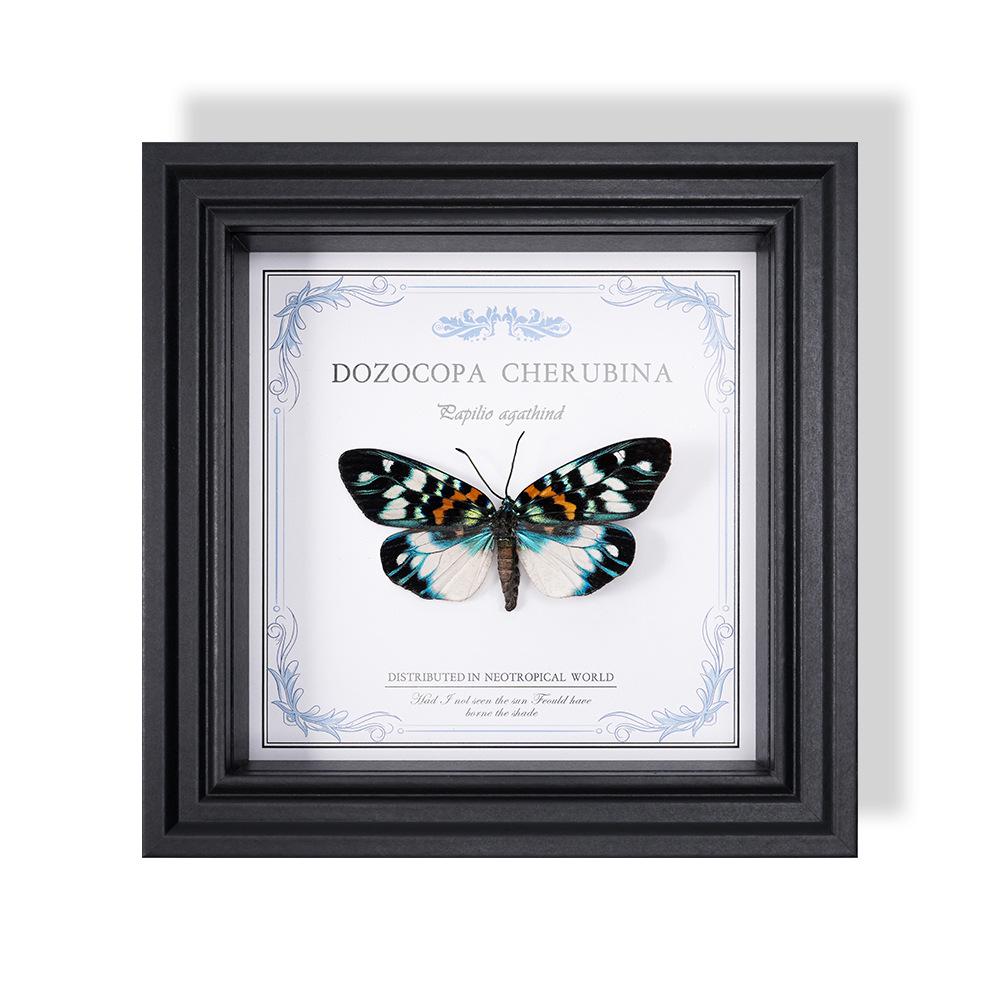 Wall-Mounted Butterfly Specimen Photo Frame: Home Decor & Gift for Valentine's Day, Qixi, Birthday, Couples & Insect Lovers
