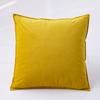 Plain Pillow Cover for Sofa Car Velvet Cushion Cover 40x40 Ornamental Pillows for Living Room Home Decor Smooth Throw Pillowcase