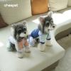 Dog four-legged one-piece multi-color fashionable splicing thickened warm windproof small dog pet winter cold cotton clothes