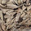 Crushed White Sage, Unsorted, 100g, Pesticide-Free, California White Sage