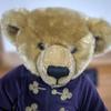 [USED] Harrods Teddy Bear 2000