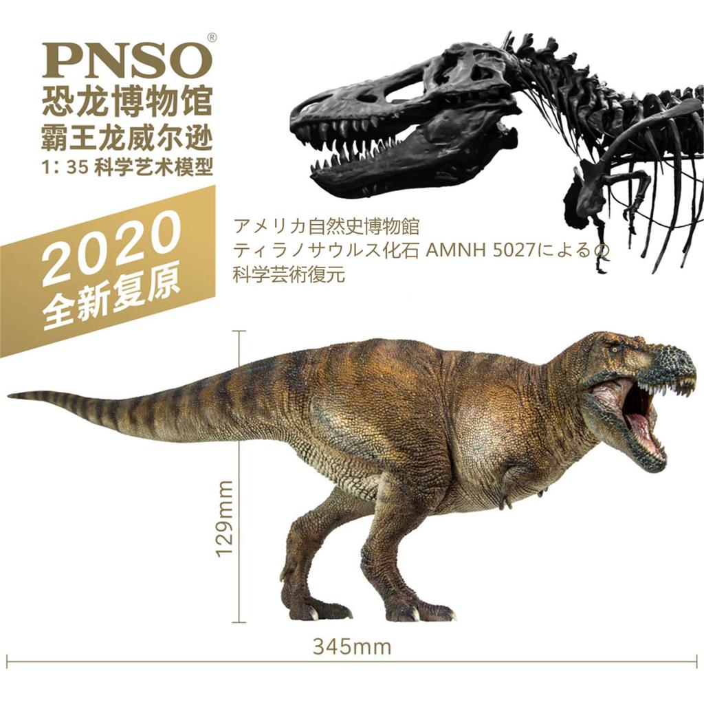 PNSO Dinosaur Museum 135 Scale Tyrannosaurus Rex Realistic Figure PVC Plastic Model Toy Dinosaur Lover Birthday Gift Original Science Art Painted