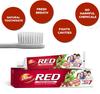 Dabur Red Toothpaste 100g Pack | Ayurvedic Toothpaste for Cavity Protection and Fresh Breath