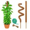 Green Dill Bendable Support: Cross-Shaped Moss Pole with Hemp Rope Base & Coconut Coir for Gardening