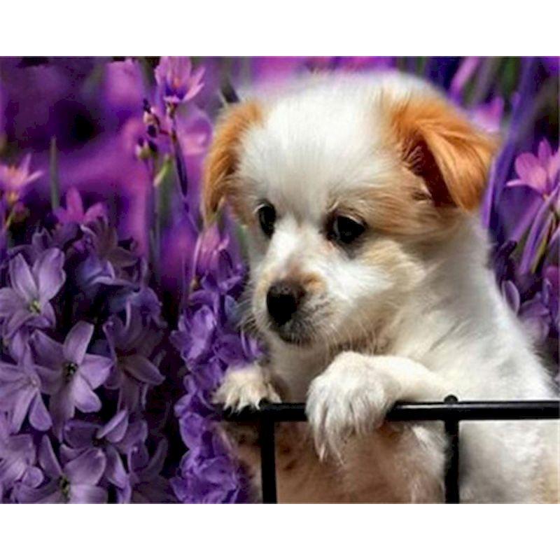 5D Diy Diamond Painting Kit Dog Animal Cross Stitch Embroidery Set Full Rhinestone Mosaic Home Decoration Picture