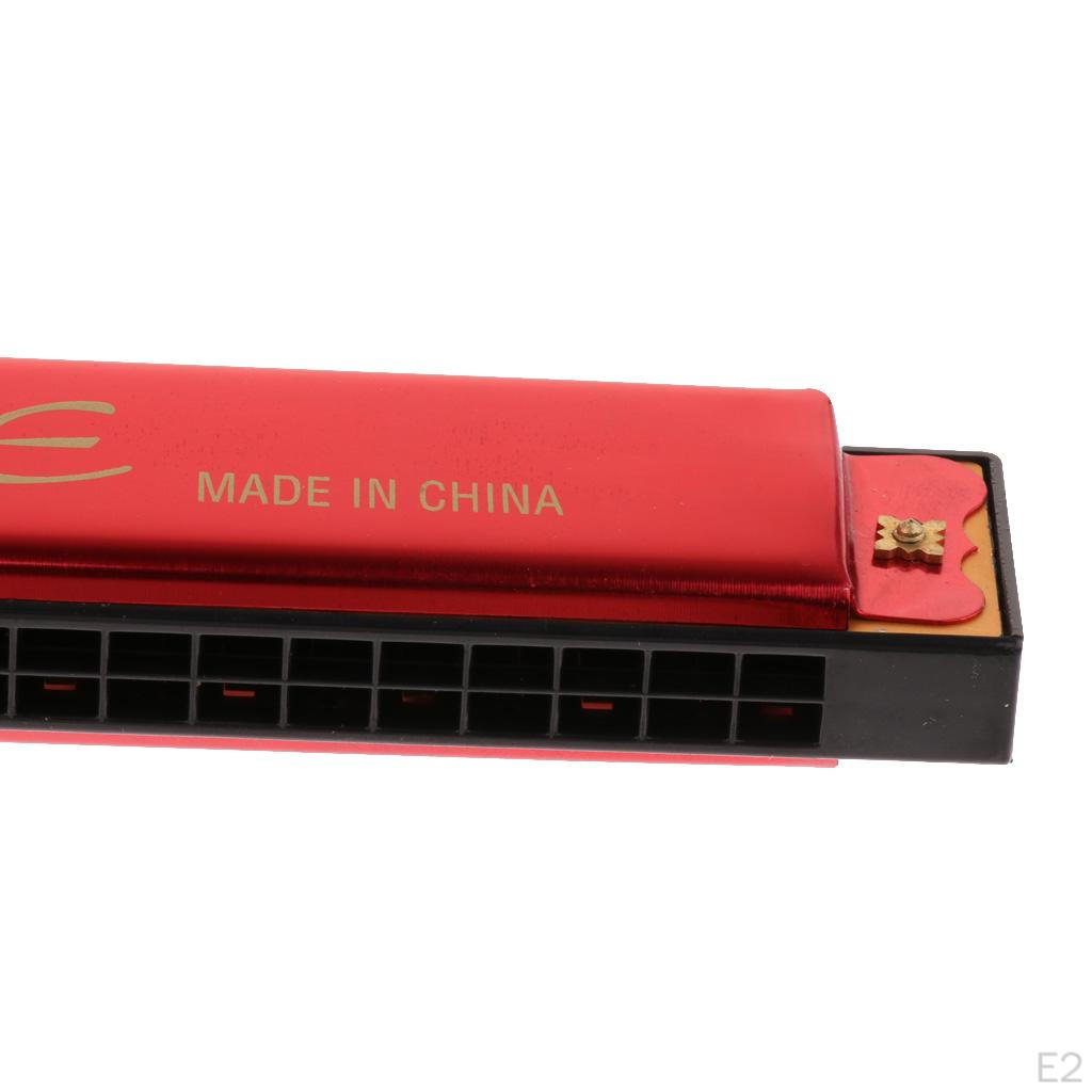 20 Hole Harmonica Mouth Organ Musical Instrument Gift