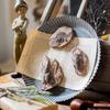 1 Stück Kinderspielzeug Simuliertes Harz Fossil Ornament Kriechendes Terrarium Dekorationen Dekorativer Behälter Landschaft Reptil