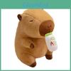 Capybara Plush Toy For Kids Birthday Gift With Soft Pp Cotton Stuffing