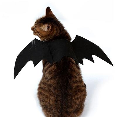 Urocze Kreatywne Halloween Party Szczeniak Zabawny Nietoperz Skrzydła Kot Ubrania Nietoperz Skrzydła Zwierzę Akcesoria Kostium Cosplay