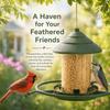 Circular Habitat Hanging Bird Feeder Sure-Lock Cover Bird Food Container  Bird Watching