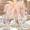 10 Pezzi Piuma di Struzzo Naturale Artigianato Matrimonio Casa Centrotavola Decorazione Piuma di Struzzo Personalizzata Colorata Accessorio all'Ingrosso