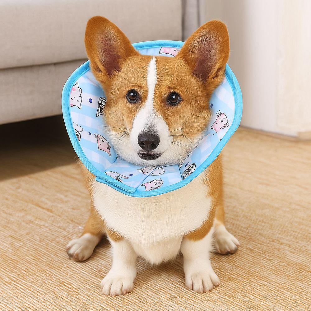 Adjustable Pet Elizabeth Collar Soft Anti Licking Collar Cat Cone Collar  Wound Recovery