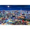 EPOCH 1000 Piece Jigsaw Puzzle Japanese Scenery Tokyo Night 50x75cm with Glue and Tool