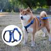 Cães – Colares e correias para cães