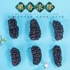 Dried Mulberry 500g Natural Herbal Energy Tea No Wash for Men Women
