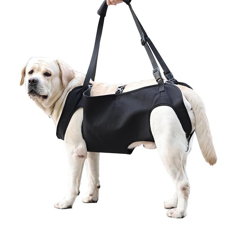 Lesă de Asistență pentru Scări pentru Câini Sling de Suport pentru Câini Vârstnici Vestă Reglabilă pentru Ridicarea Animalelor de Companie Ham de Asistență la Urcarea Scărilor pentru Câini Mari