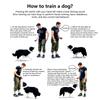 Interactive Sound Clicker Trainer For Thumb Training No Battery For Dogs Cats Positive Reinforcement Train