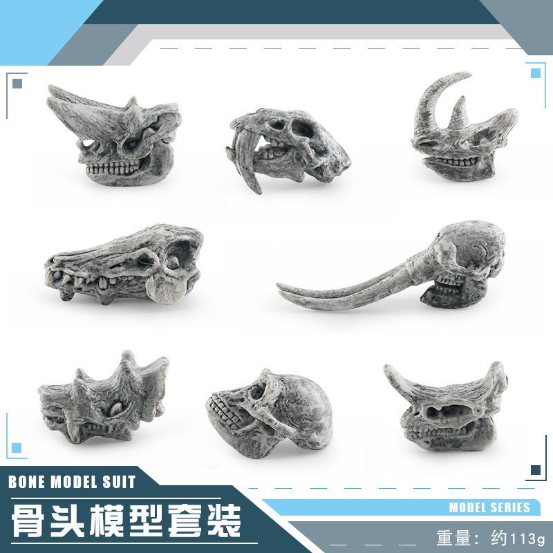 Highquality Dinosaur Realistic Skull Model For Childrens Development Cognitive