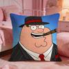 Family GGuys Funny Anime Cushion Cover Premium Comfort Reversible Pillow Cove Two In One Design For Any Room  Car Interior
