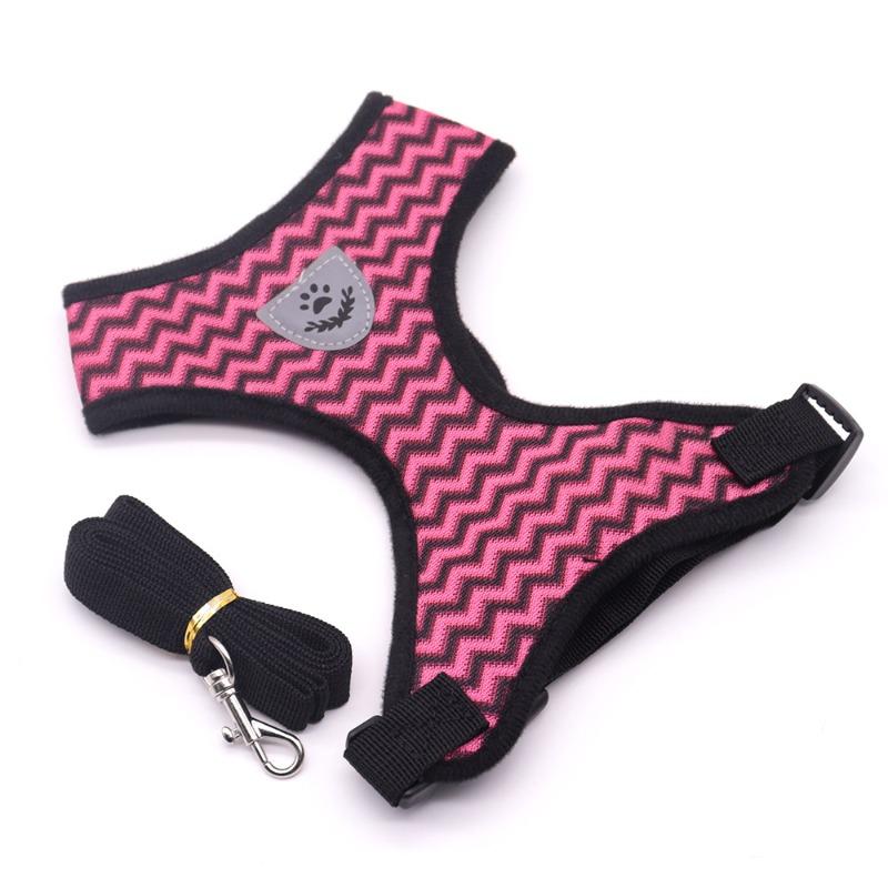 Back and Chest Harness Set for Pet Dogs - Leash for Taking Dogs Out for Walks - Cat Leash - Small Dog Breathable Walking Rope
