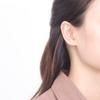 ESTELLE [WEB Exclusive] K10 Yellow Gold Cubic Zirconia Earrings 0242-0722-0019-0000