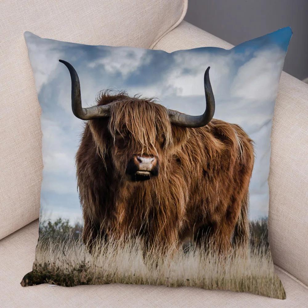 Scotland Kyloe Pillow Case Decor Wild Cow Colorful Animal Print Pillowcase Soft Short Plush Cushion Cover for Home Sofa 45x45cm