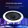 MIKEGOLS POE SIP Conference Ceiling Speaker CN Plug (adapter Included)
