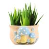 Cute Colorful Mushroom Planter Pot Oval Succulent Flower Pot With Drainage Hole