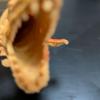 Used [At that time] Extremely rare Hong Kong made Dimetrodon large size over 15cm Chinasaurs