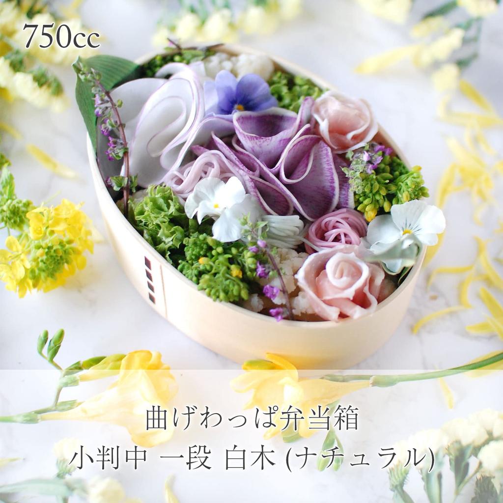 Magewappa Bento Single Plain 750cc Box, Medium, Oval, Tier, Wood,