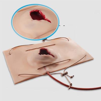 A72U Large Gun Wound Model, Teaching Model, Hemostasis Control Training, Trauma Simulation Training