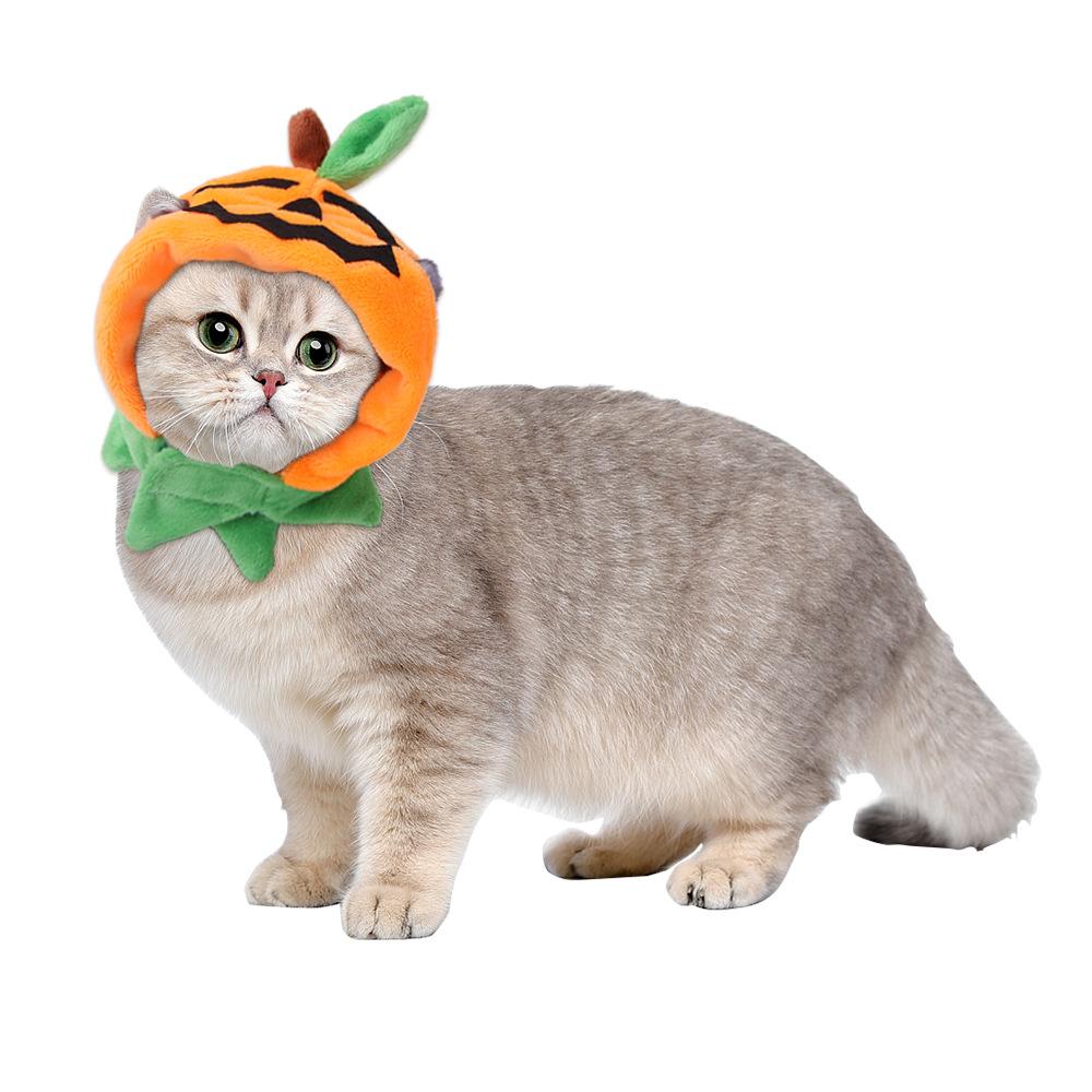 New pet hat, pumpkin shape Teddy dress up headgear, cat headgear.
