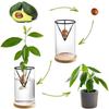 Înverzire şi amenajare – Susținere plante