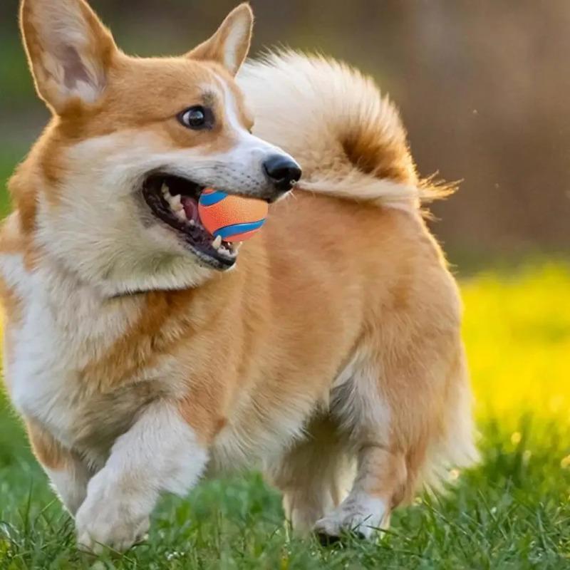 Pet Toy Ball Dog Fetch Ball Spherical Elastic Unbreakable Teeth Grinding Jumping Ball Interactive Pet Products and Accessories