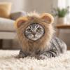 Lightweight Cat Mane Wig Face Opening Pet Wig Washable Mane Wig for Cat  Indoor Cat Wear