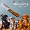 Köpek – Köpek bakım ürünleri