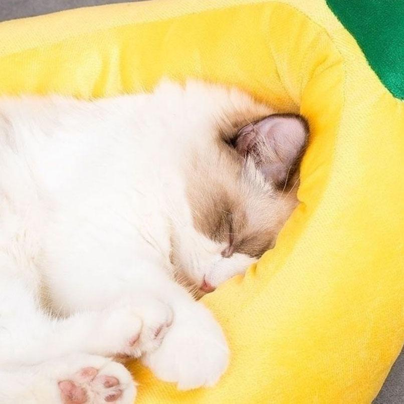 Creative Banana Shaped Dog Beds Cute Ins Soft Small Pets Mat Removable Washable Breathable Kennel Dogs Sleeping Litter 4 Seasons
