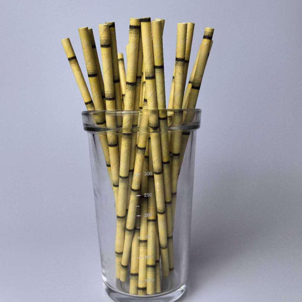 Individually Wrapped Biodegradable Striped Paper Straws