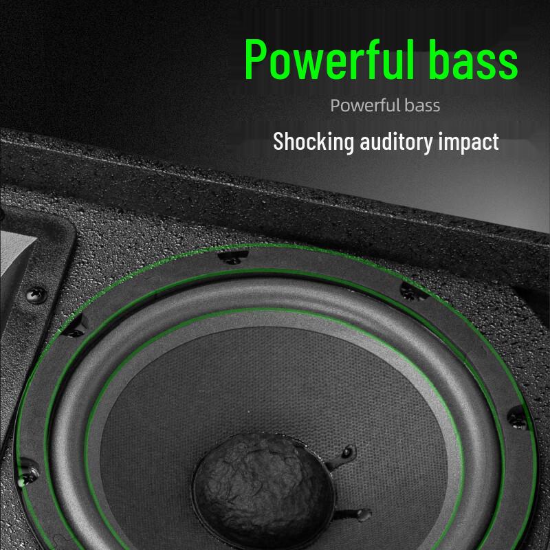 Ridiss AC210 Conference Room Audio System Set