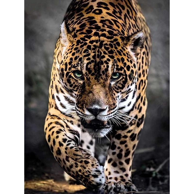 5d Diamond Painting Full Drill Animal Leopard Mosaic Round Rhinestone Picture Embroidery Home Decor At Affordable S Free Shipping Real Reviews With Photos Joom - Leopard Home Decor 5d Diamond Painting Full Drill Animal Leopard Mosaic Round Rhinestone Picture Embroidery Home Decor At Affordable S Free Shipping Real Reviews With Photos Joom - Leopard Home Decor