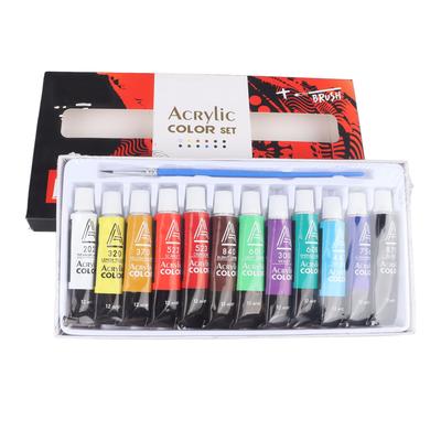 Set di 12 colori di pittura acrilica 12 ml ciascuno Asciugatura rapida Previene lo sbiadimento Tubetti di pittura acrilica per dipingere