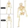 6/12PCS Mini Skeleton Figurines Small Skeletons Halloween Decorations for Craft Haunted House Accessories Party Favors 6 Inch