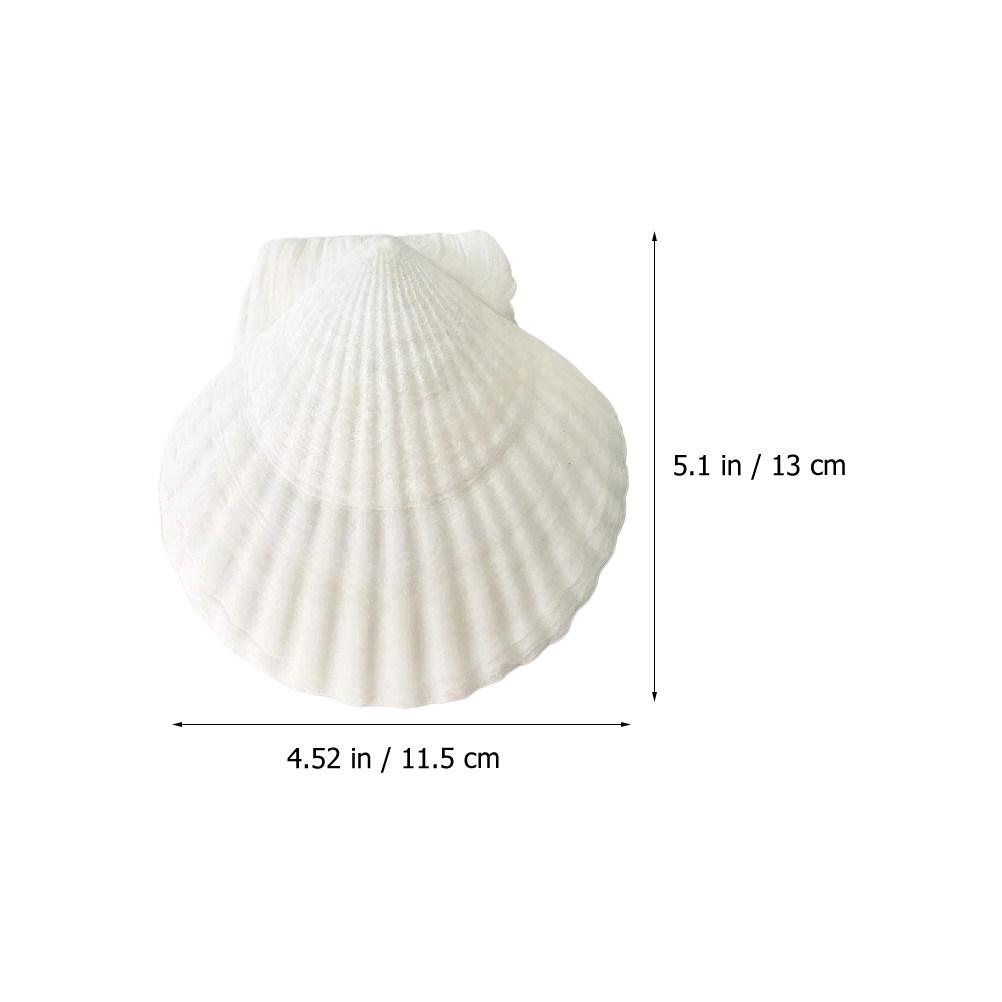

2Pcs Natural Shell Decor Abalone Shell DIY Material Photo Prop Plate Ornament Aquarium Fish Tank Bonsai Decoration белый