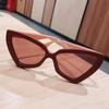Fashion Cat Eye Sunglasses Trendy Women UV Protection Luxury Irregular Frame Travel Sun Glasses Female Eyewear