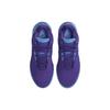 Nike Zoom LeBron NXXT Gen AMPD EP Purple Silver Blue FJ1567-500