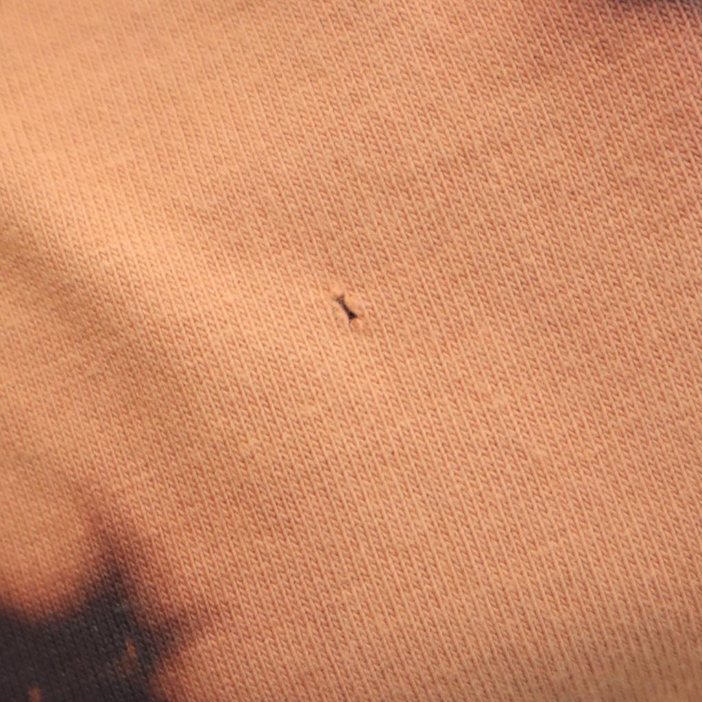 ICE CREAM Back Logo Short Sleeve Dyed Dipper T-shirt L Flower Embroidery Men's Used