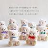 [Petit Lou] Tete Bear White 12cm 4S Size (May Normal)