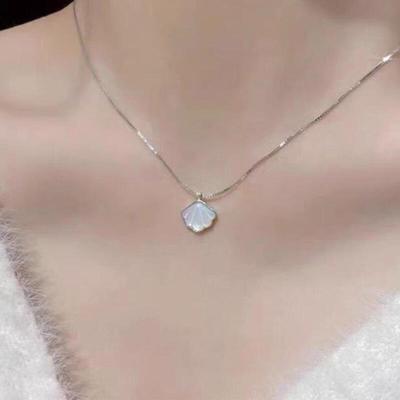 Women's Elegant and Elegant Shell Silver Chain Necklace