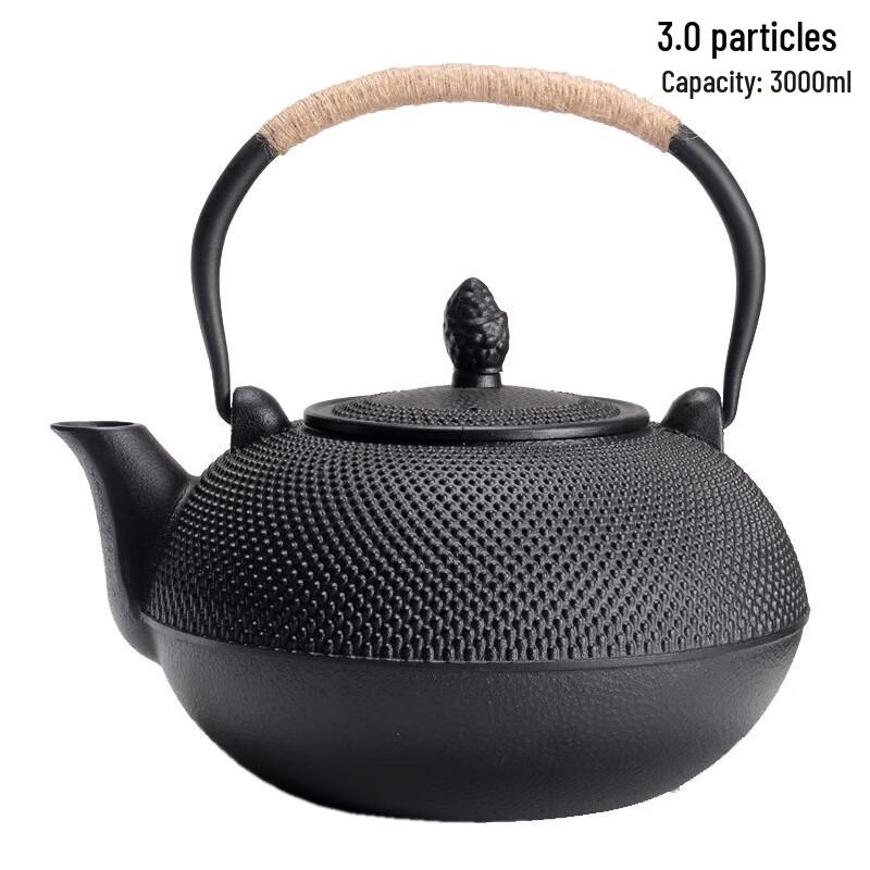 Taixige Cast Iron Teapot