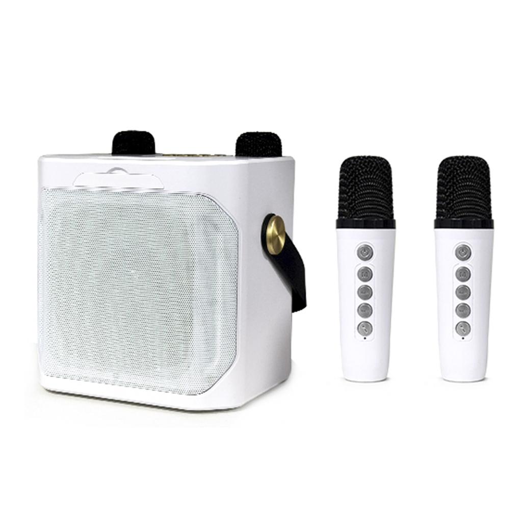 Wireless Bluetooth Speaker Dual Microphone Portable Karaoke Speaker Home Theater